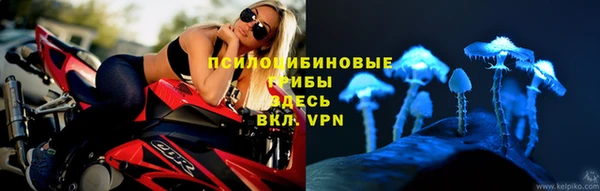герыч Алексин